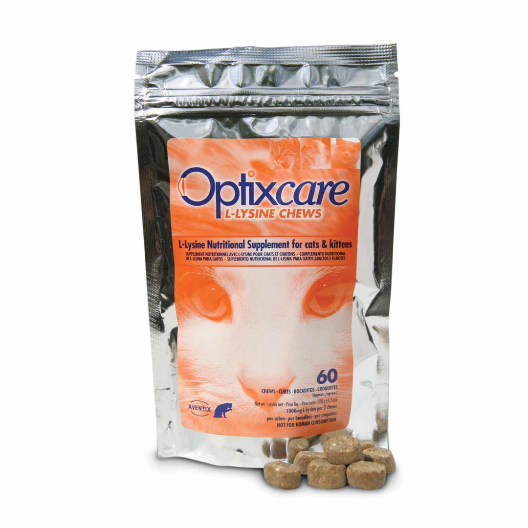 Aventix Optixcare L-Lysine 500 mg 60 Chews