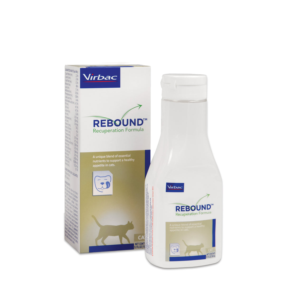 Rebound recuperation formula for cats, 150 ml