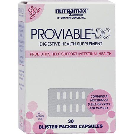Nutramax Proviable-DC 5 Billion CFU Probiotic Supplement for Dogs &amp; Cats