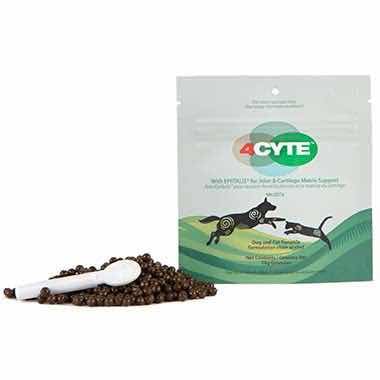 Interpath 4CYTE Joint Supplement for Dogs and Cats - Chicken Flavor 100g