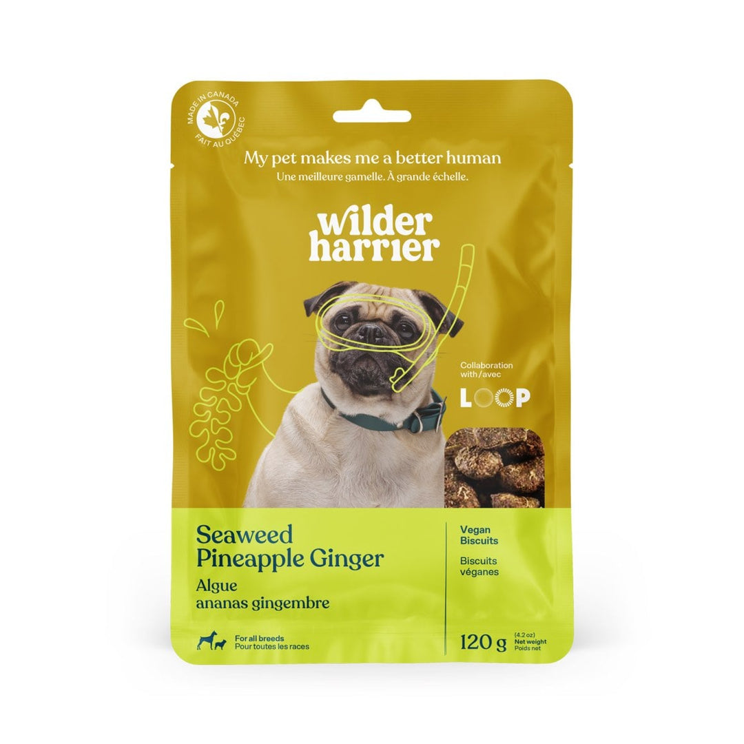 Wilder Harrier Vegan Dog Treats Seaweed, Pineapple and Ginger 120g