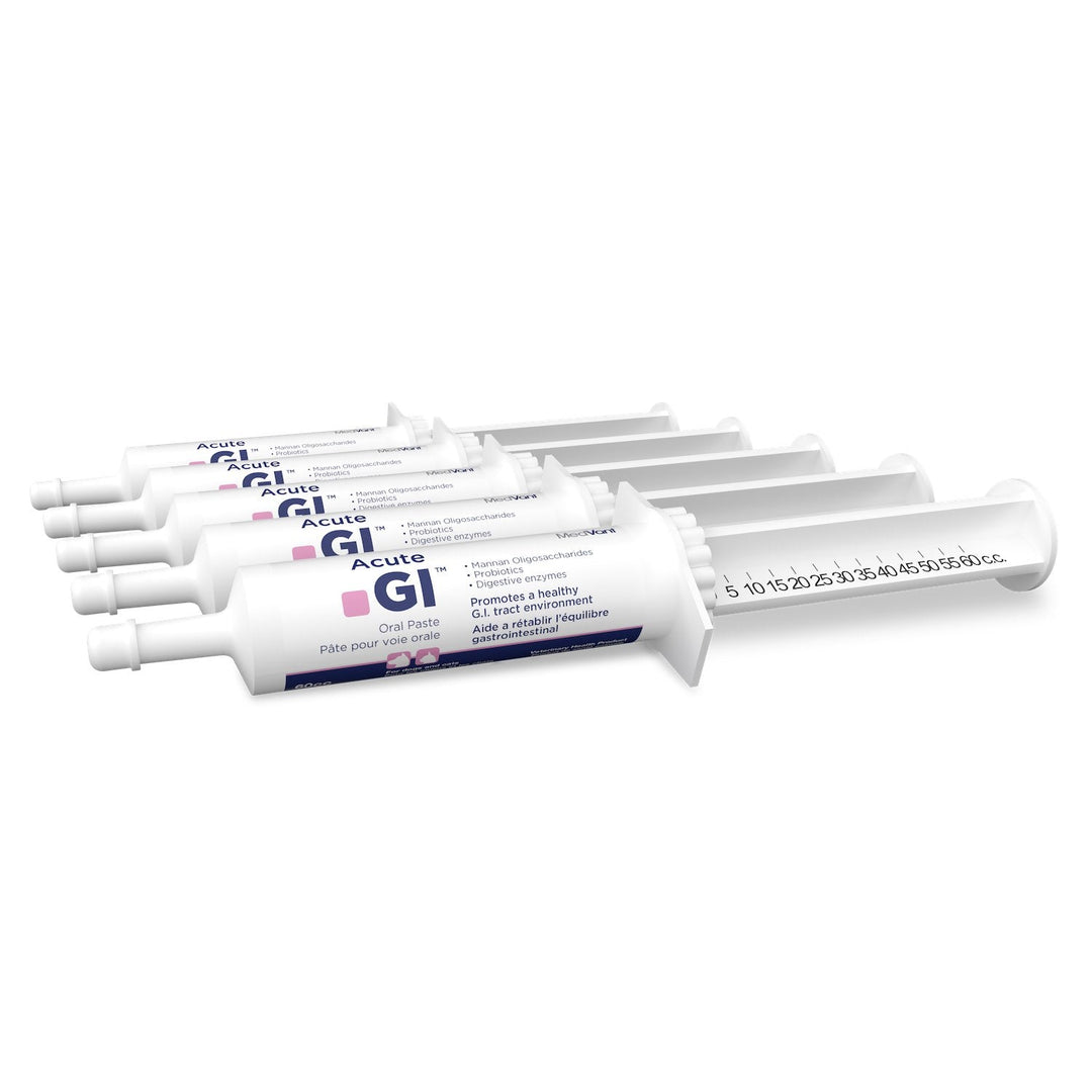 MedVant Acute GI Oral Paste dial-a-dose syringe for dogs and cats GI upset