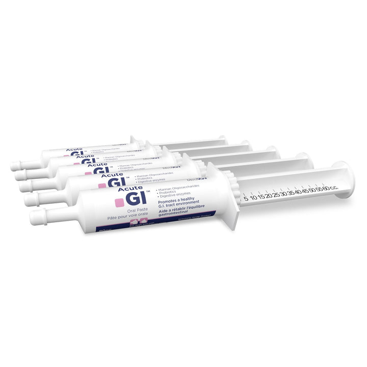 MedVant Acute GI Oral Paste dial-a-dose syringe for dogs and cats GI upset