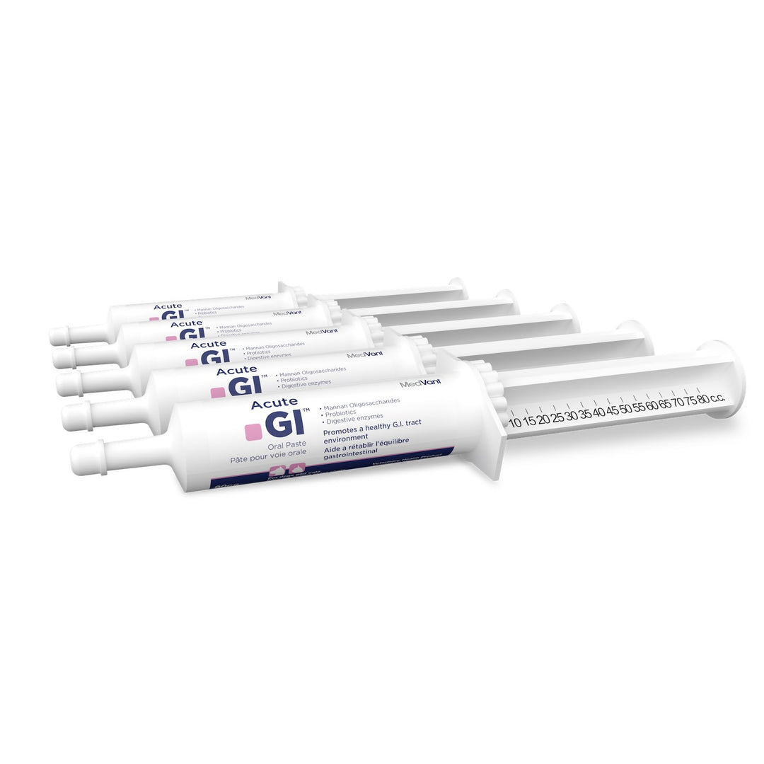MedVant Acute GI Oral Paste dial-a-dose syringe for dogs and cats GI upset