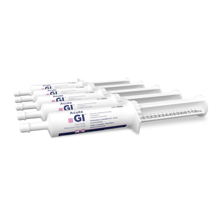MedVant Acute GI Oral Paste dial-a-dose syringe for dogs and cats GI upset