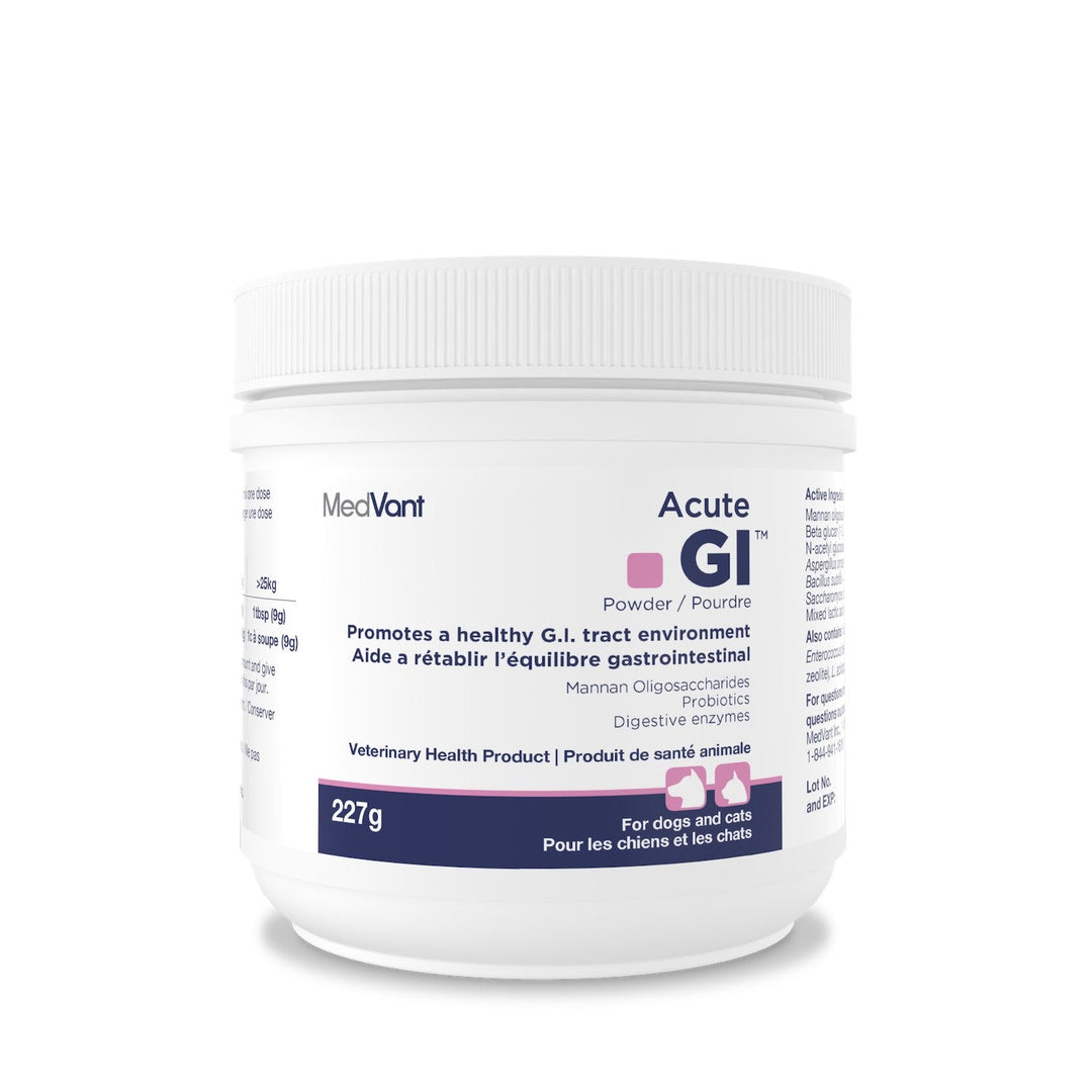 MedVant Acute GI Powder for dogs and cats 227g canister digestive supplement