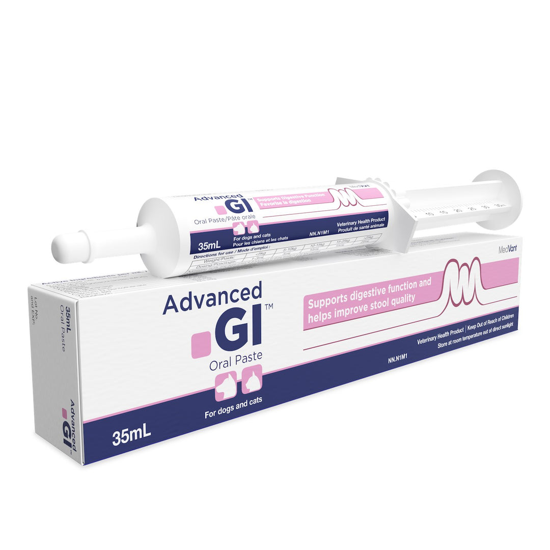 MedVant Advanced GI Oral Paste for Dogs &amp; Cats - Original