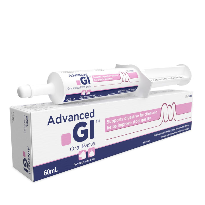 MedVant Advanced GI Oral Paste for Dogs &amp; Cats - Original