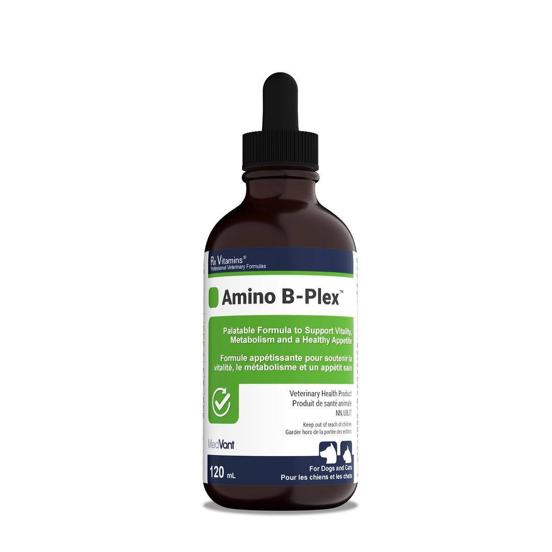Rx Vitamins Amino B-Plex Amino Acid &amp; B-Vitamin Liquid for Dogs &amp; Cats - Bacon