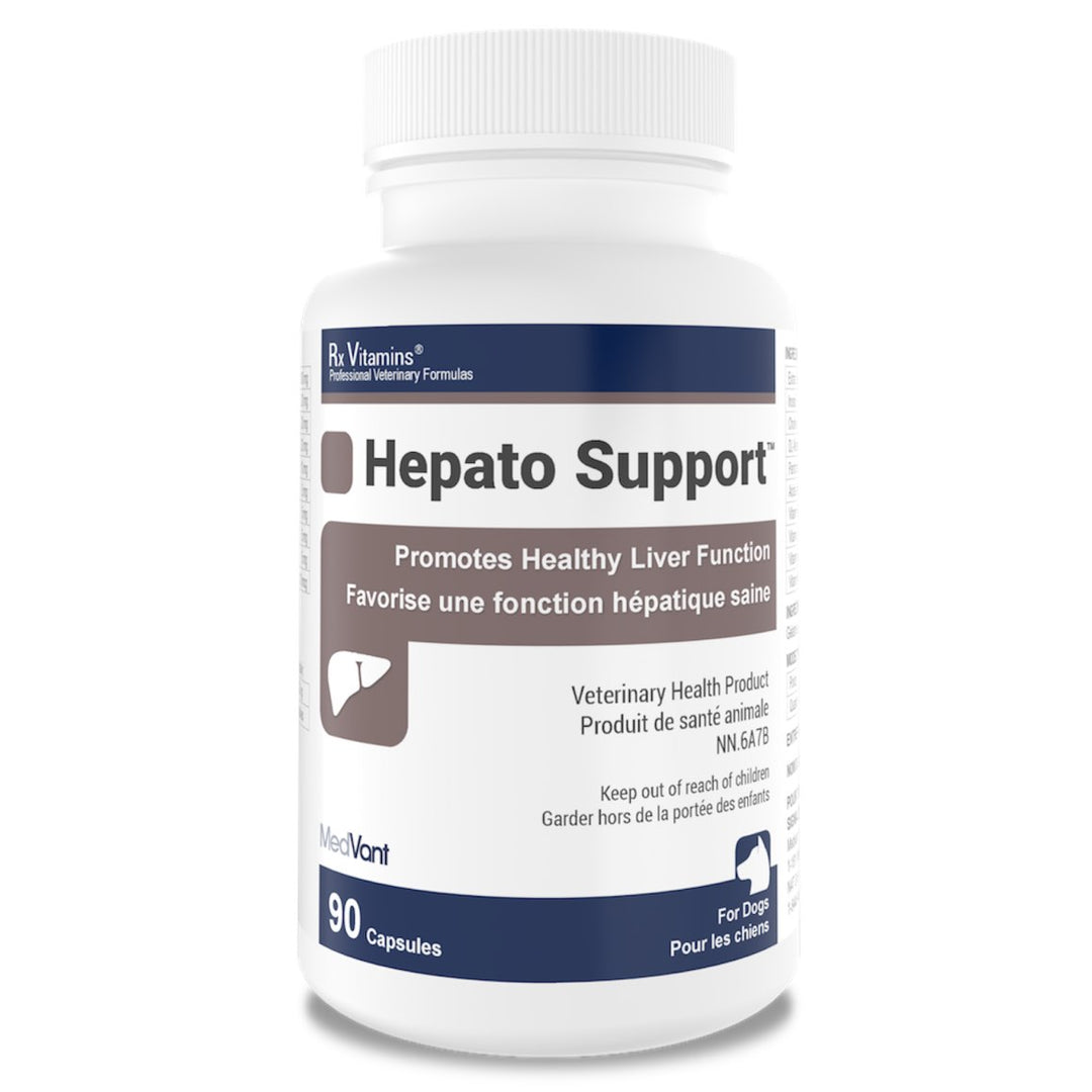 Rx Vitamins Hepato Support Liver Support Capsules for Dogs &amp; Cats, 90 Capsules