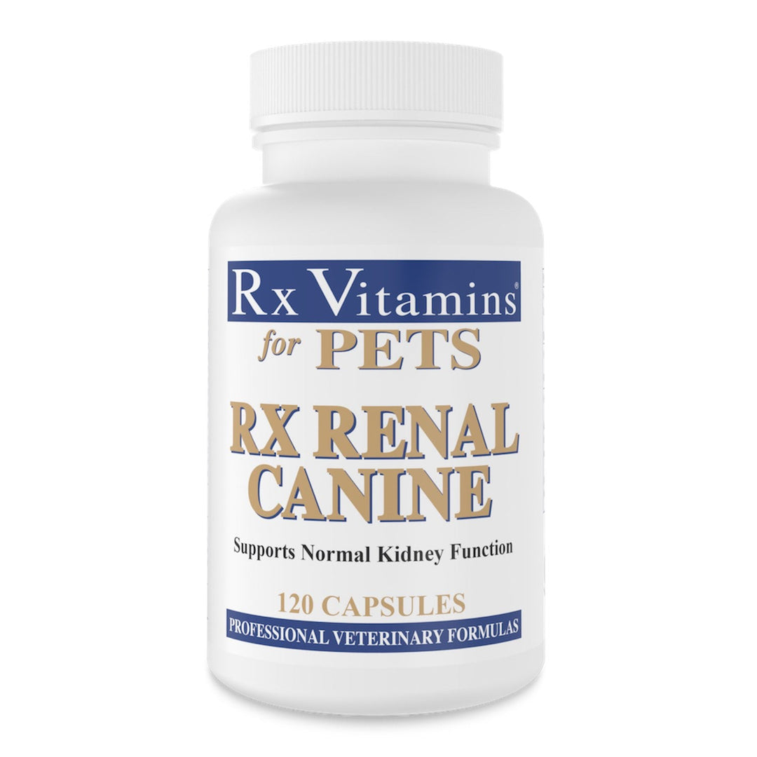 Rx Vitamins Rx Renal Canine kidney support capsules for dogs 120 count