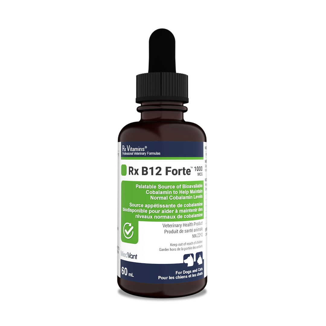 Rx Vitamins Rx Vitamin B12 Forte Liquid for Dogs &amp; Cats
