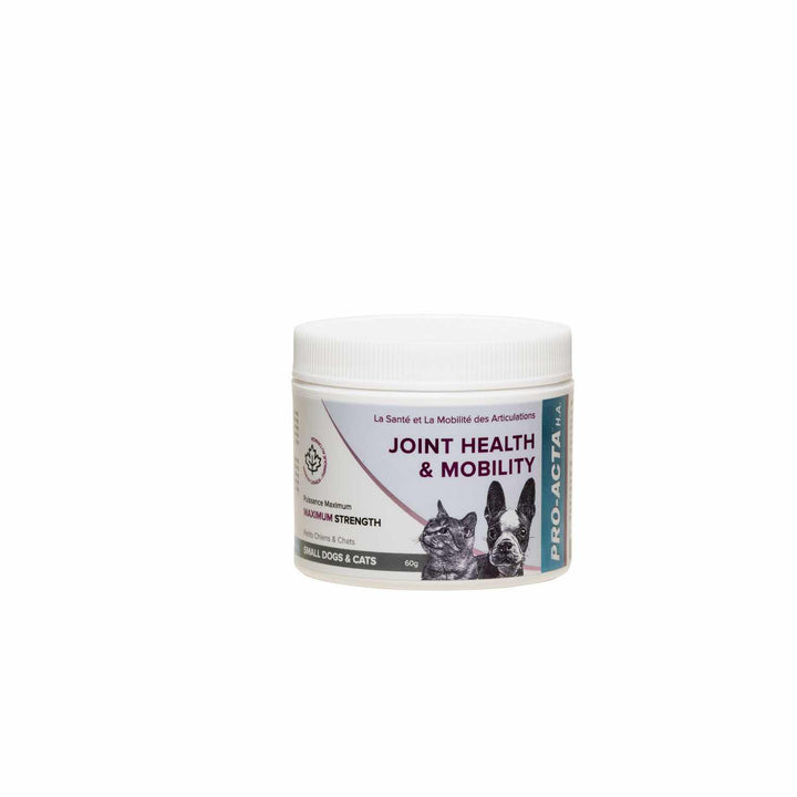 Integricare Pro-Acta H.A Maximum Strength Joint Supplement Powder for Dogs and Cats - 300g