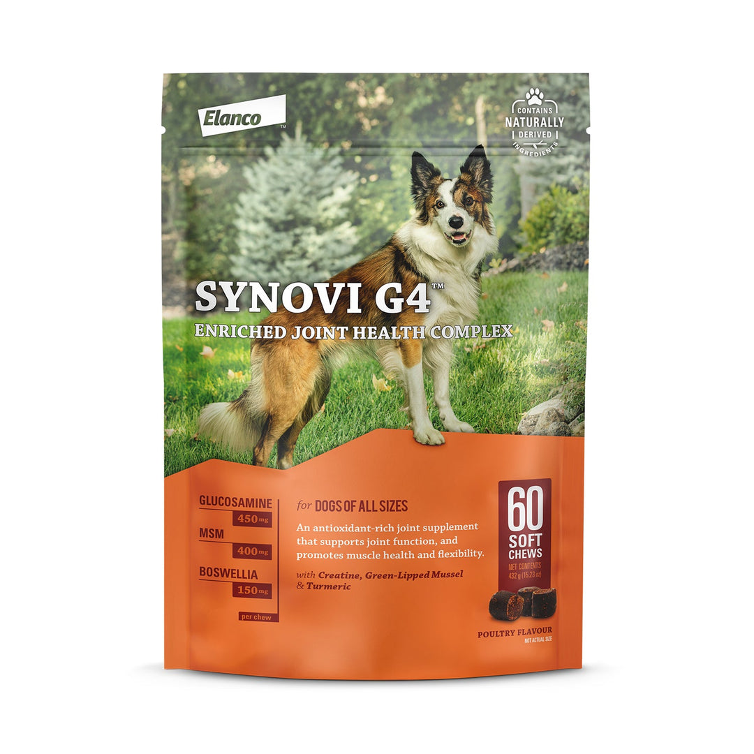 Elanco Synovi G4 Joint Supplement Chews for Dogs - 240 Count