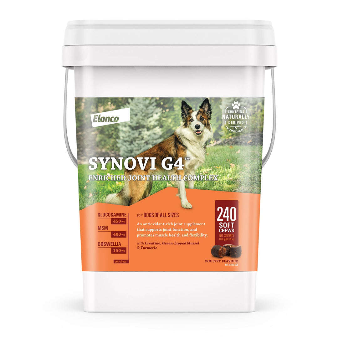 Elanco Synovi G4 Joint Supplement Chews for Dogs - 240 Count