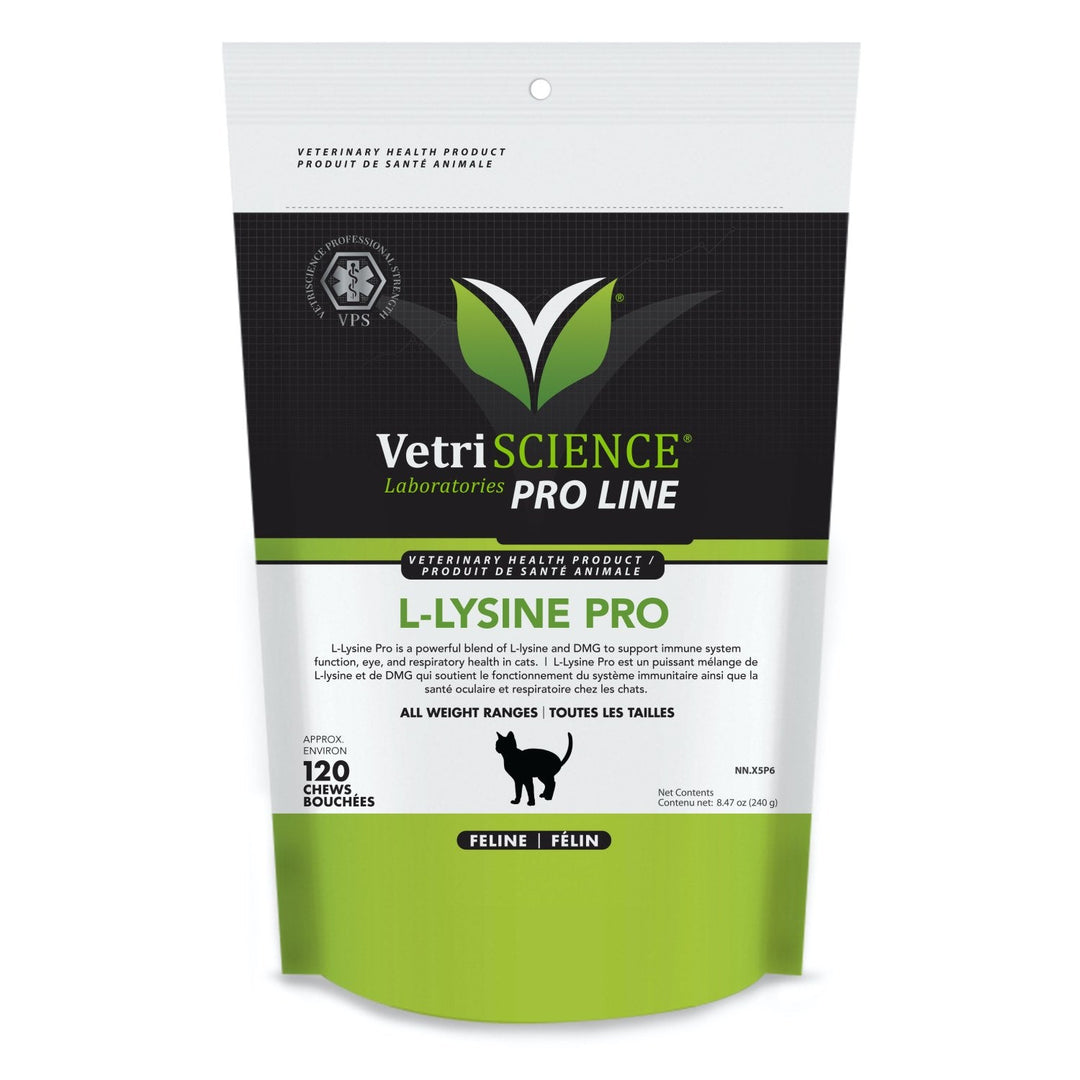 Grey Wolf L-Lysine Pro immune support chews for cats and kittens chicken liver flavour