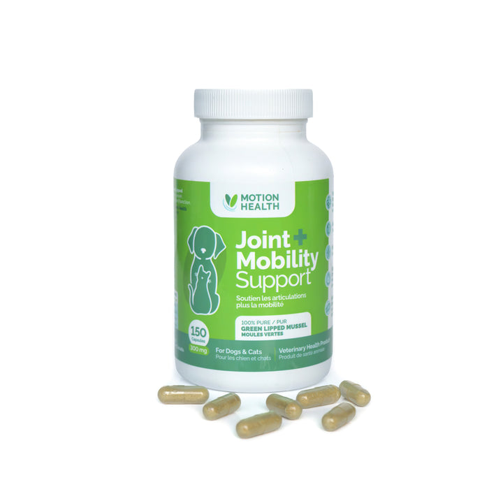 Motion Health Green Lipped Mussels mobility support for cats and dogs, 150 Cap