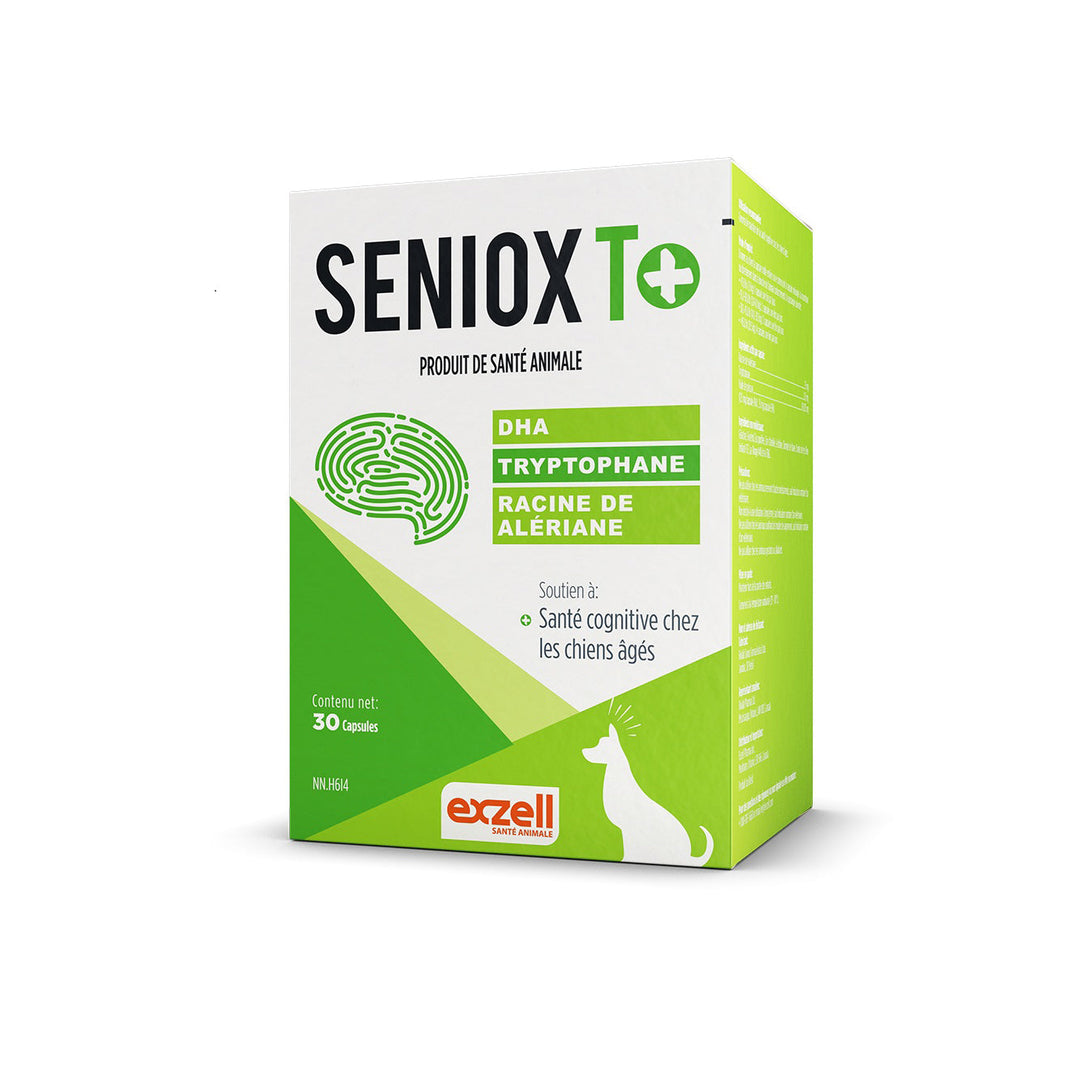 Exzell Seniox T+ supplement for dogs