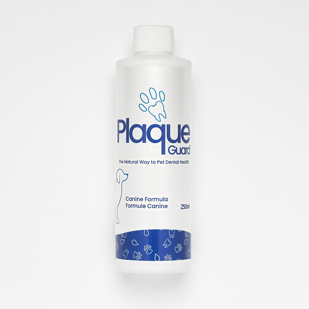 Plaque Guard Dental Water Additive for Dogs 250ml