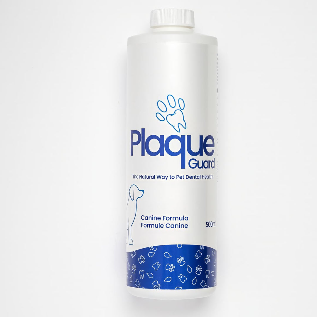 Plaque Guard Original Dental Water Additive for Dogs 500ml