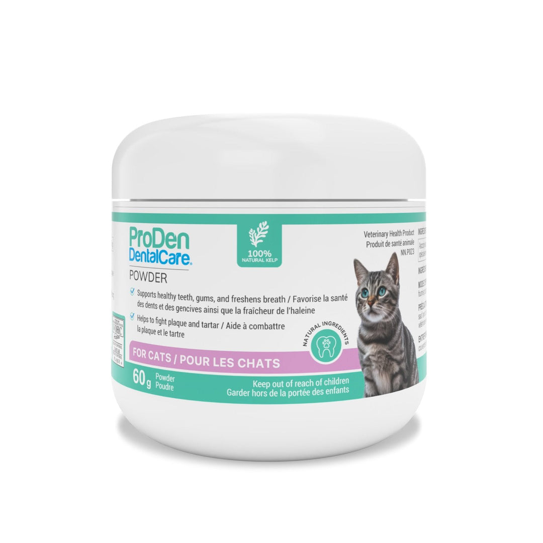 ProDen DentalCare powder for cats original 60g dental health supplement