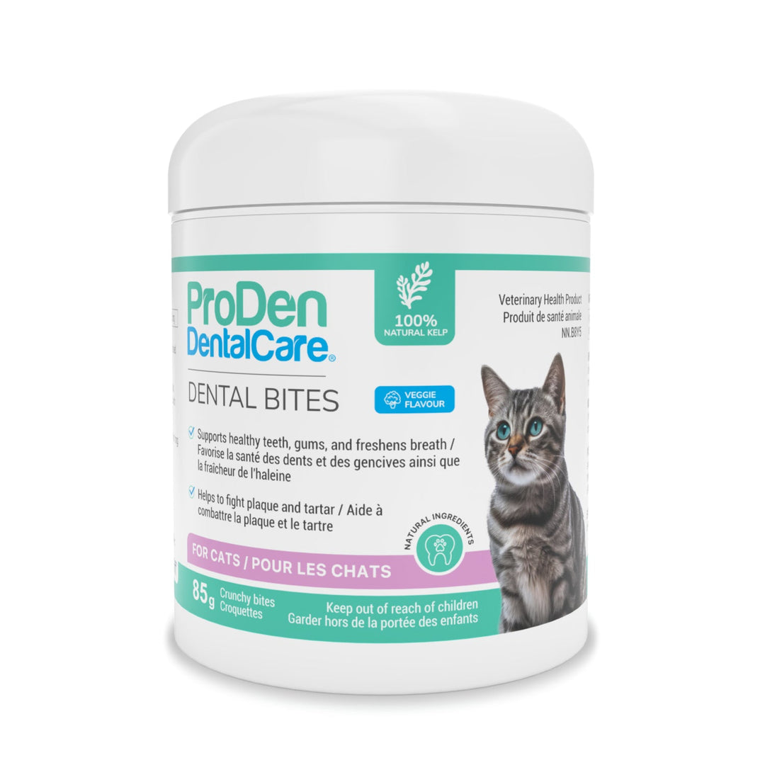 ProDen DentalCare dental bites for cats veggie flavour 85g dental treats