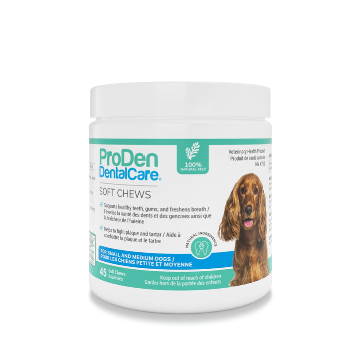 ProDen DentalCare soft chews for small and medium dogs natural flavour dental supplement