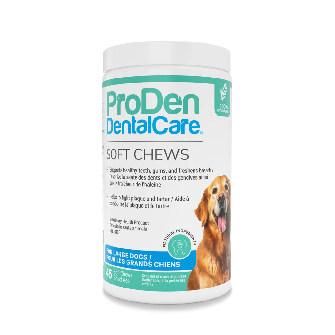 ProDen DentalCare soft chews for large dogs natural flavour dental supplement