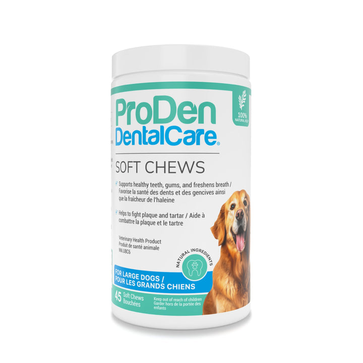 ProDen DentalCare soft chews for large dogs natural flavour dental supplement