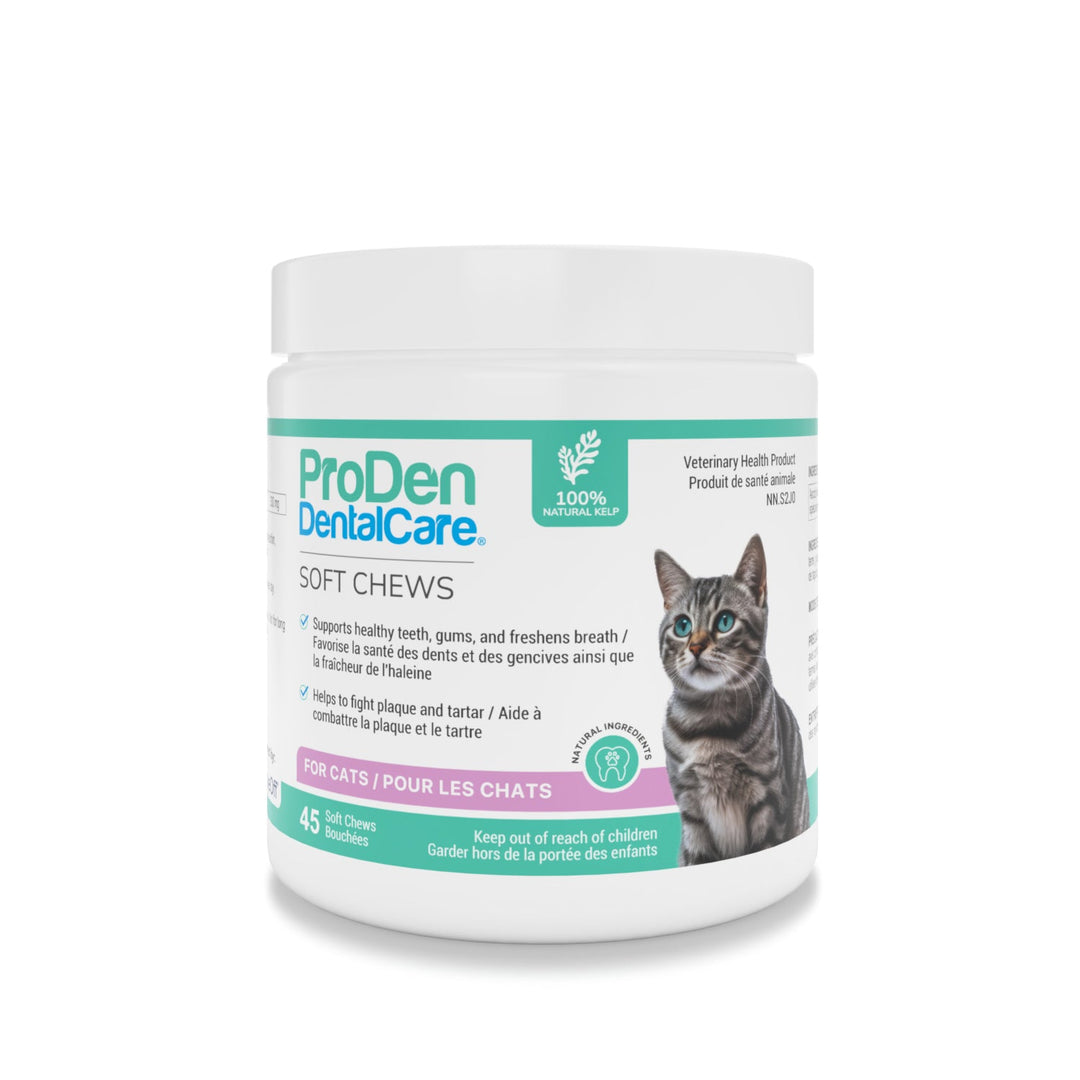 ProDen DentalCare soft chews for cats natural flavour 45 chews dental supplement