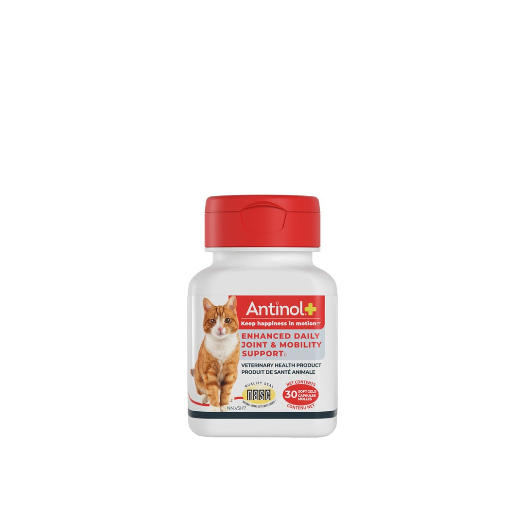 Pet Health Works Antinol Plus Softgels for Cats Flavourless 30 Gel Caps