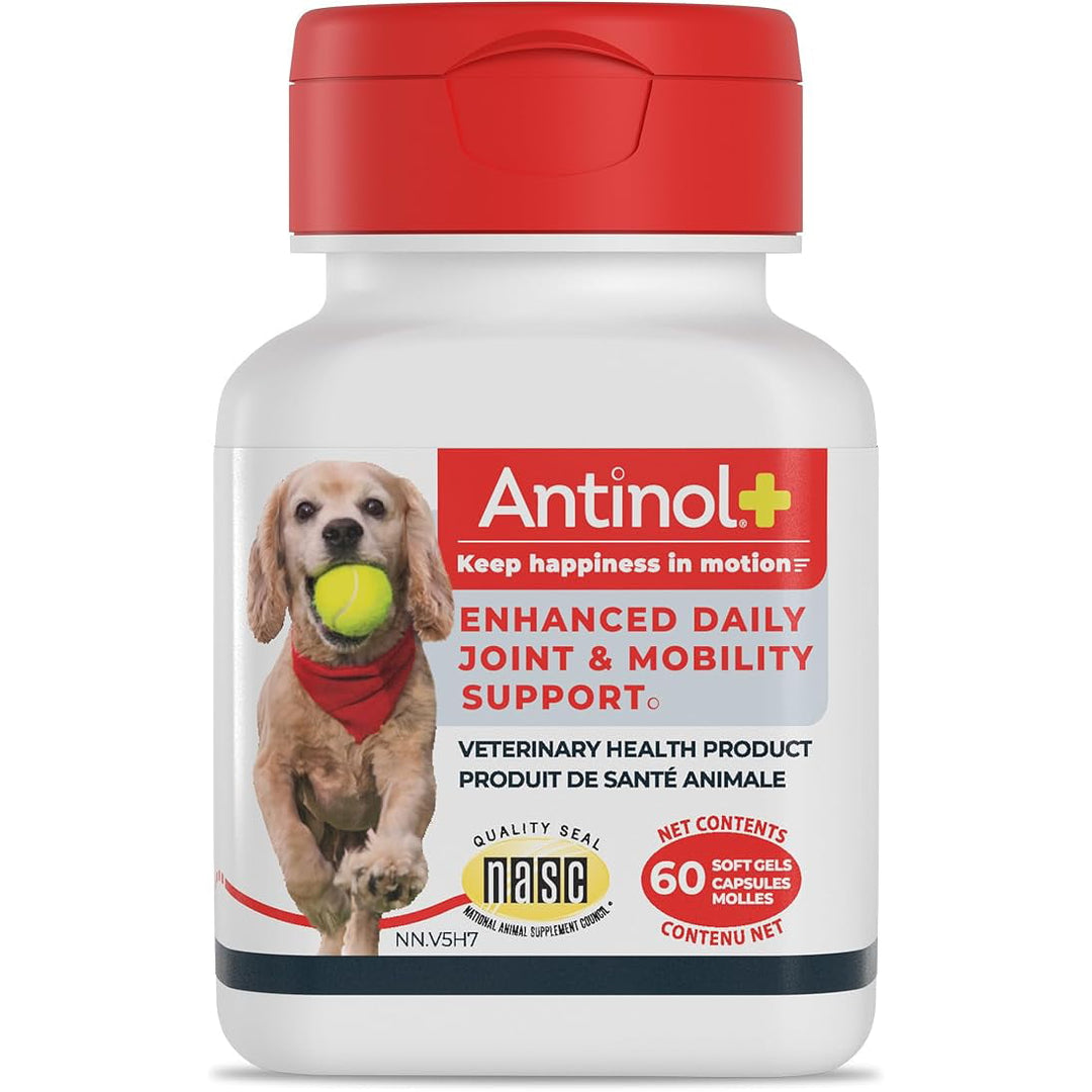 Pet Health Works Antinol Plus Softgel for Dogs Flavourless 60 Softgels