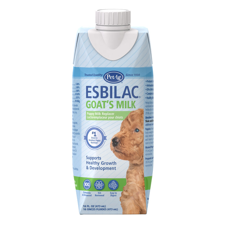 Esbilac goat&
