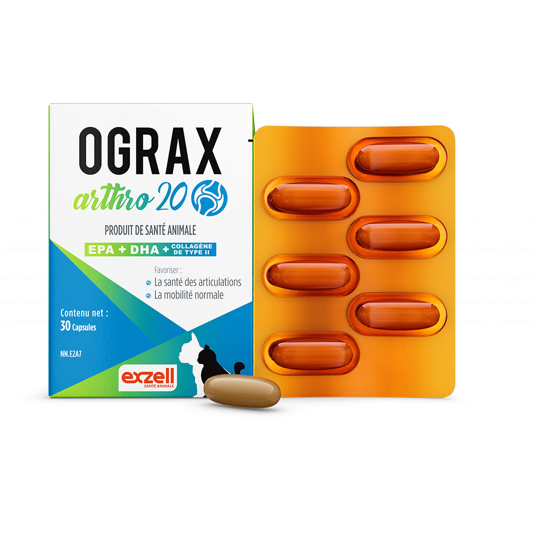 Ograx Arthro 20 large breed capsules for dogs