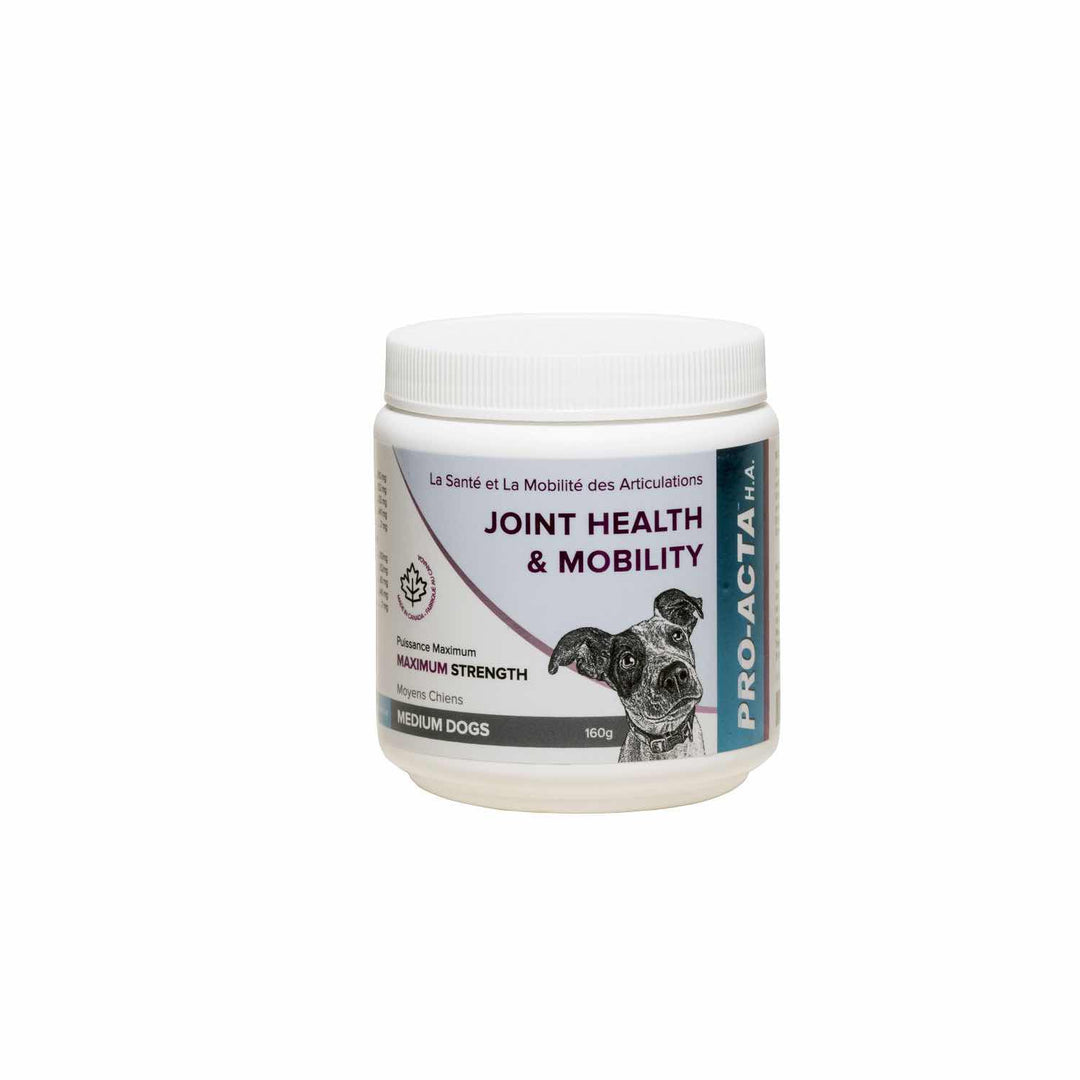 Integricare Pro-Acta H.A Maximum Strength Joint Supplement Powder for Dogs and Cats - 300g