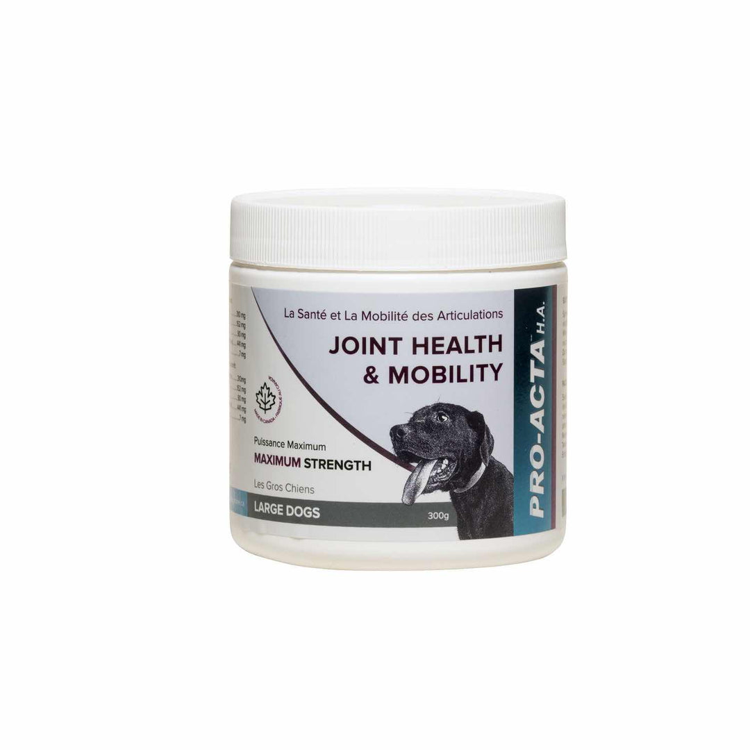 Integricare Pro-Acta H.A Maximum Strength Joint Supplement Powder for Dogs and Cats - 300g